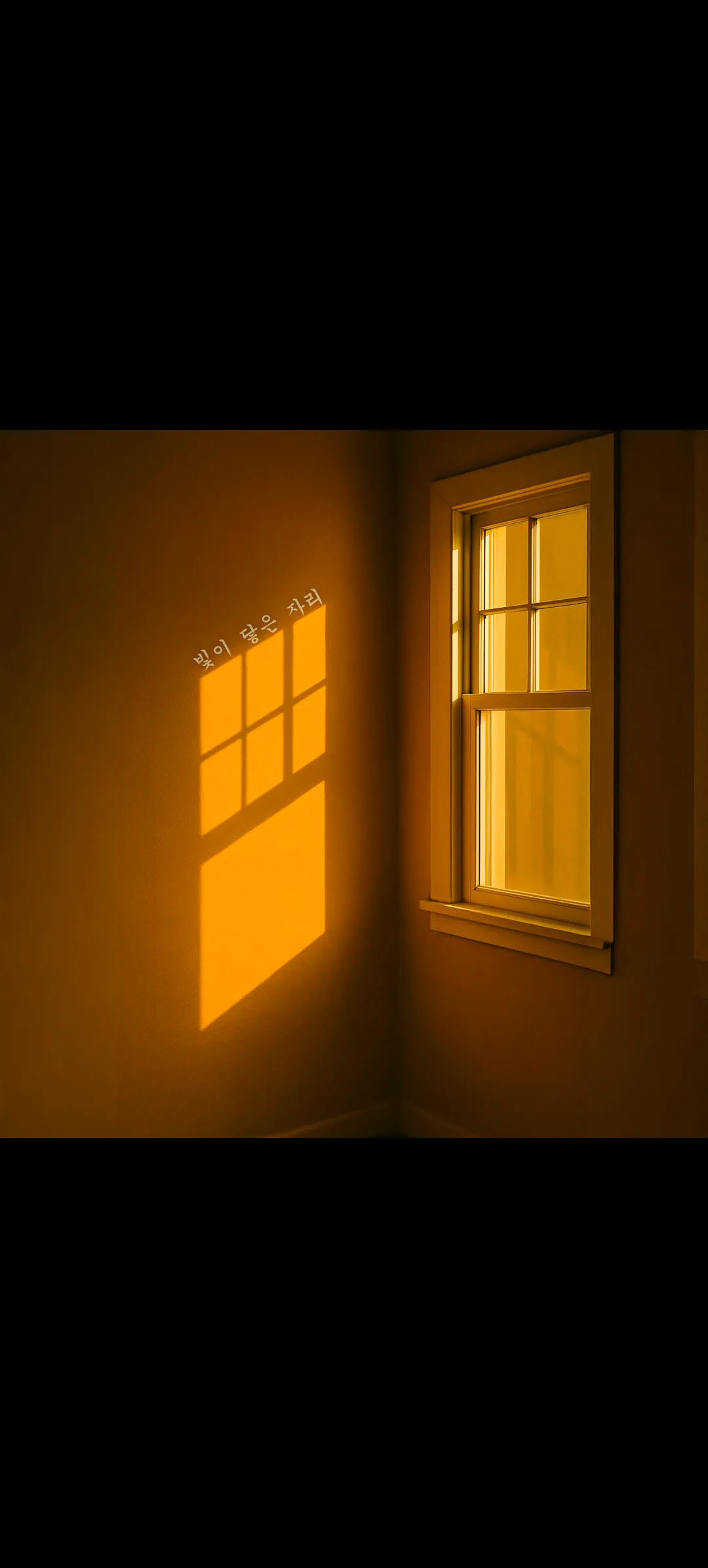 빛이 닿는 자리 앨범 커버